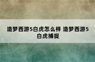 造梦西游5白虎怎么样 造梦西游5白虎捕捉